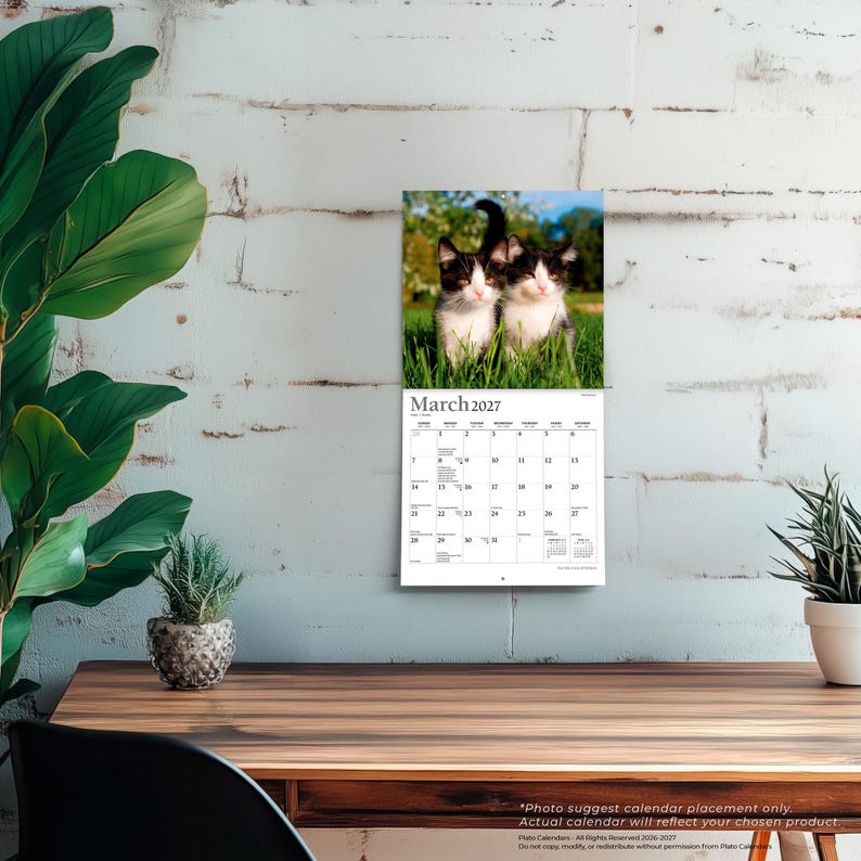May include: A wall calendar for March 2027 featuring a photograph of two black and white kittens sitting in green grass. The calendar grid displays the days of the month with clear black text on a white background, showing dates from the first to the thirty-first.