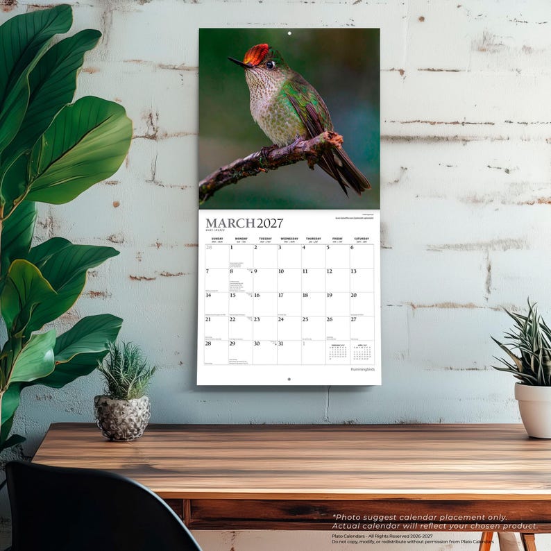 K&ouml;nnte beinhalten: Ein Wandkalender f&uuml;r M&auml;rz 2027 mit einer Fotografie eines Kolibris mit schillerndem gr&uuml;nem Gefieder und einer leuchtend roten Krone, der auf einem Ast sitzt. Das Kalenderraster zeigt den Monat, die Wochentage und die Daten in schwarzer Schrift.