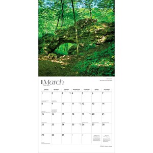 May include: A calendar page for March 2026 showing a natural rock archway in a green forest. The calendar grid is white with black numbers and dates. The word "March" is at the top. The image is of a scenic landscape.