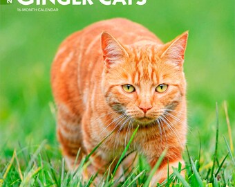 Ginger Cats | 2026 12 x 24 Inch (Hanging) Monthly Square Wall Calendar | Plastic-Free | BrownTrout | Animals Kittens Feline Pets