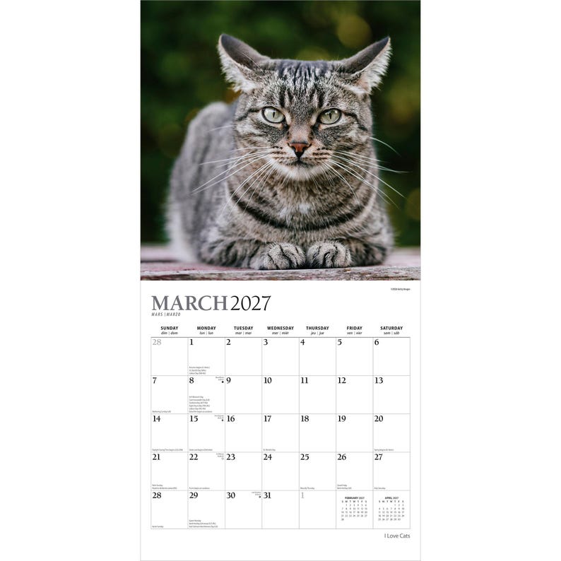 May include: A wall calendar for March 2027 featuring a high-resolution photograph of a grey tabby cat with green eyes and prominent whiskers. The calendar grid displays the days of the month clearly with black text on a white background.