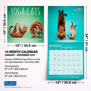 Yoga Cats Together OFFICIAL | 2027 12 x 24 Inch (Hanging) Monthly Square Wall Calendar | Plato | Animals Humor Pets bild 7