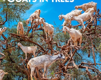Goats in Trees | 2026 12 x 24 Inch (Hanging) Monthly Square Wall Calendar | Plastic-Free | BrownTrout | Domestic Funny Farm Animals