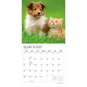 Peut inclure: Un calendrier mural pour mars 2027 pr&eacute;sentant une photographie d'un chiot brun et blanc assis &agrave; c&ocirc;t&eacute; d'un chaton tigr&eacute; orange dans l'herbe verte. La grille du calendrier affiche les jours du mois avec le texte MARCH 2027 imprim&eacute; en haut.