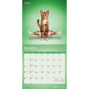 Pu&ograve; includere: Un calendario da parete per marzo 2027 intitolato CHATS DE YOGA con un gatto soriano marrone in una posa yoga su sfondo verde. La sezione superiore mostra il gatto e il testo Vinka, mentre quella inferiore mostra la griglia del mese di marzo 2027.