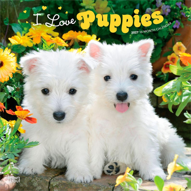 May include: A 2027 16-month calendar titled I Love Puppies featuring two fluffy white West Highland White Terrier puppies sitting side by side. The background is filled with vibrant yellow and orange flowers and green foliage.