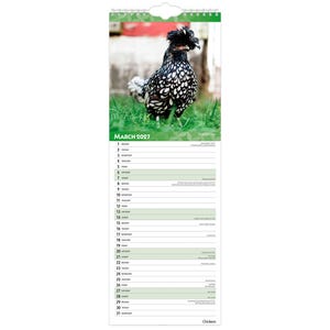 Op de afbeelding: Een wandkalender voor maart 2027 met een foto van een zwart-wit gespikkelde kip met een opvallende kuif die in het groene gras staat. Het kalenderraster toont de dagen van de maand met horizontale lijnen voor notities en datums.