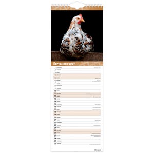 Op de afbeelding: Een wandkalender voor september 2027 met een foto van een gespikkelde witte, bruine en zwarte kip tegen een donkere achtergrond. Het kalenderraster toont de maandnaam, de data en de dagen van de week in een verticale lijst.