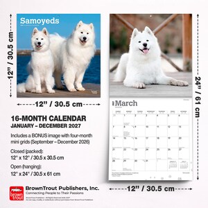 Puede incluir: Un calendario de 16 meses de Samoyedos para 2027, que mide 30,5 cm por 30,5 cm cerrado y 30,5 cm por 61 cm abierto. La portada muestra dos perros Samoyedos blancos en un muelle de madera, mientras que la p&aacute;gina interior muestra el calendario de marzo.