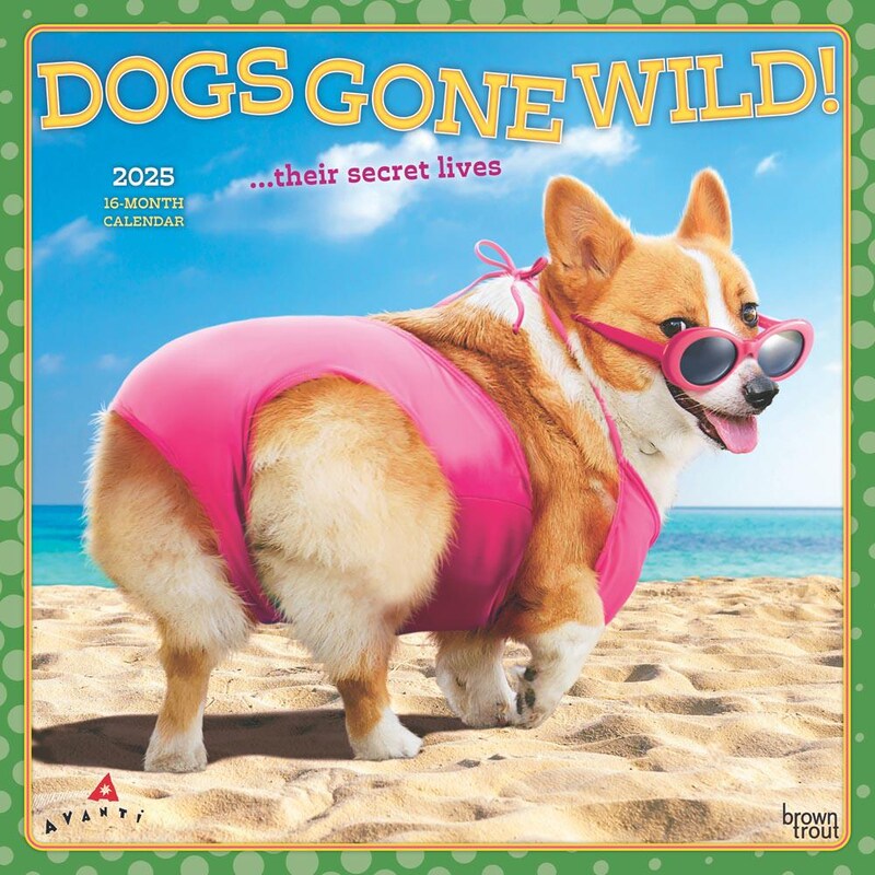 Gone Wild Calendar Etsy Gone Wild Calendar Etsy