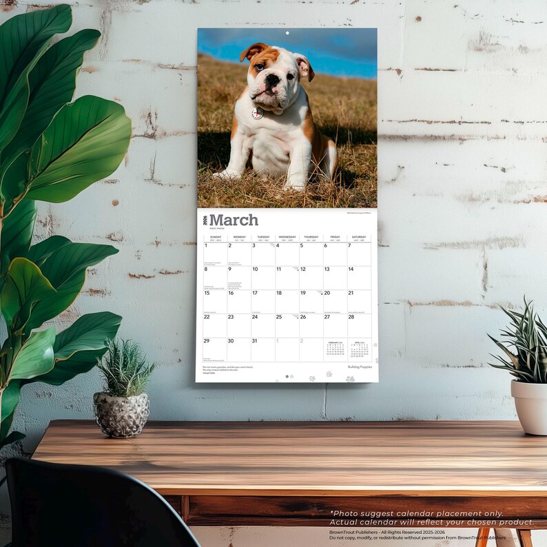 Puede incluir: Calendario de pared con una foto de un cachorro bulldog con marcas marrones y blancas. El calendario est&aacute; abierto a marzo, con el nombre del mes en la parte superior. El calendario est&aacute; colgado en una pared de ladrillos blancos.