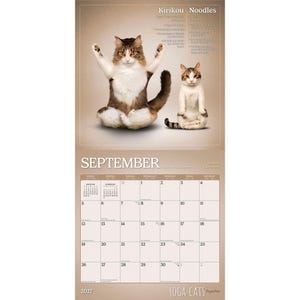 Yoga Cats Together OFFICIAL | 2027 12 x 24 Inch (Hanging) Monthly Square Wall Calendar | Plato | Animals Humor Pets bild 4