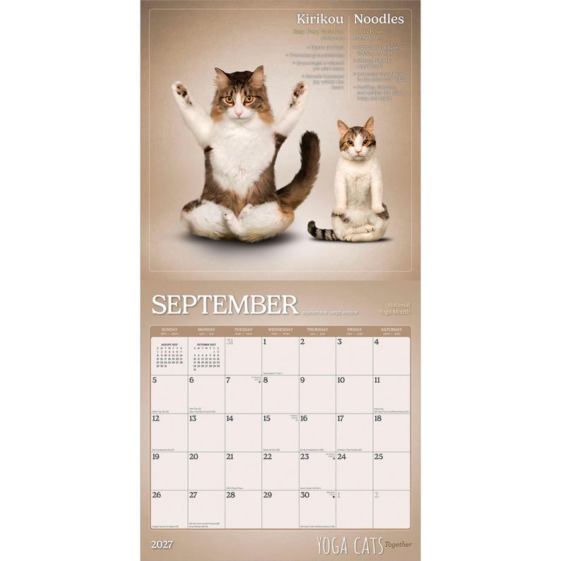 Yoga Cats Together OFFICIAL | 2027 12 x 24 Inch (Hanging) Monthly Square Wall Calendar | Plato | Animals Humor Pets bild 4