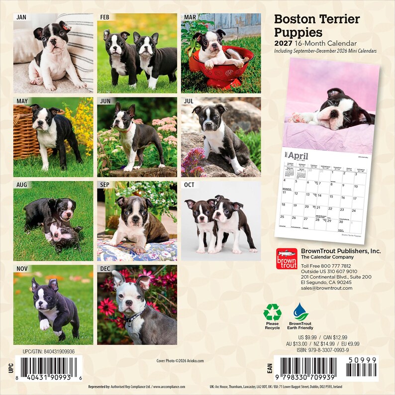 Puede incluir: Un calendario de 16 meses para 2027 de cachorros Boston Terrier con doce fotograf&iacute;as distintas de cachorros blancos y negros en varios entornos. La contraportada muestra una cuadr&iacute;cula de im&aacute;genes mensuales, una p&aacute;gina de muestra de abril e informaci&oacute;n del editor.