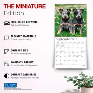 Puede incluir: Un calendario de pared titulado THE MINIATURE Edition con una fotograf&iacute;a de dos cachorros de pastor ganadero australiano en la hierba. El calendario muestra el mes de septiembre de 2027 con una cuadr&iacute;cula de fechas, festivos y fases lunares. El texto incluye Full-Color Artwork, Elevated Materials, Compact Size, 16-Month Format y Compact Date Grids.