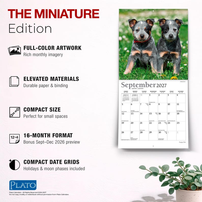 Puede incluir: Un calendario de pared titulado THE MINIATURE Edition con una fotograf&iacute;a de dos cachorros de pastor ganadero australiano en la hierba. El calendario muestra el mes de septiembre de 2027 con una cuadr&iacute;cula de fechas, festivos y fases lunares. El texto incluye Full-Color Artwork, Elevated Materials, Compact Size, 16-Month Format y Compact Date Grids.