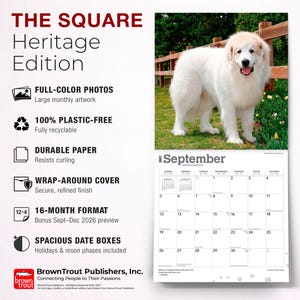 May include: A 2027 wall calendar titled THE SQUARE Heritage Edition featuring a large photograph of a white Great Pyrenees dog standing in grass. The calendar includes a September grid, 16-month format, and text detailing features like plastic-free paper.