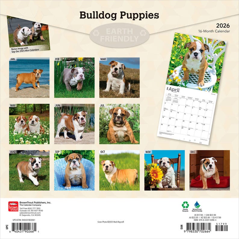 Puede incluir: Un calendario de 16 meses de 2026 con fotograf&iacute;as de cachorros Bulldog. Cada mes muestra un Bulldog diferente en varios entornos. El calendario est&aacute; etiquetado como "Earth Friendly". Incluye los meses de enero a diciembre.