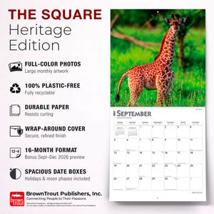 Pode incluir: Um calend&aacute;rio de parede de 2027 intitulado THE SQUARE Heritage Edition com uma fotografia de uma girafa num campo relvado. O calend&aacute;rio inclui um formato de 16 meses, caixas de data espa&ccedil;osas e texto destacando caracter&iacute;sticas.