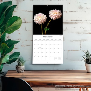 May include: A wall calendar for March 2027 featuring a photograph of two pale pink dahlia flowers against a solid black background. The calendar grid displays the days of the month clearly with the text March 2027 printed at the top of the page.