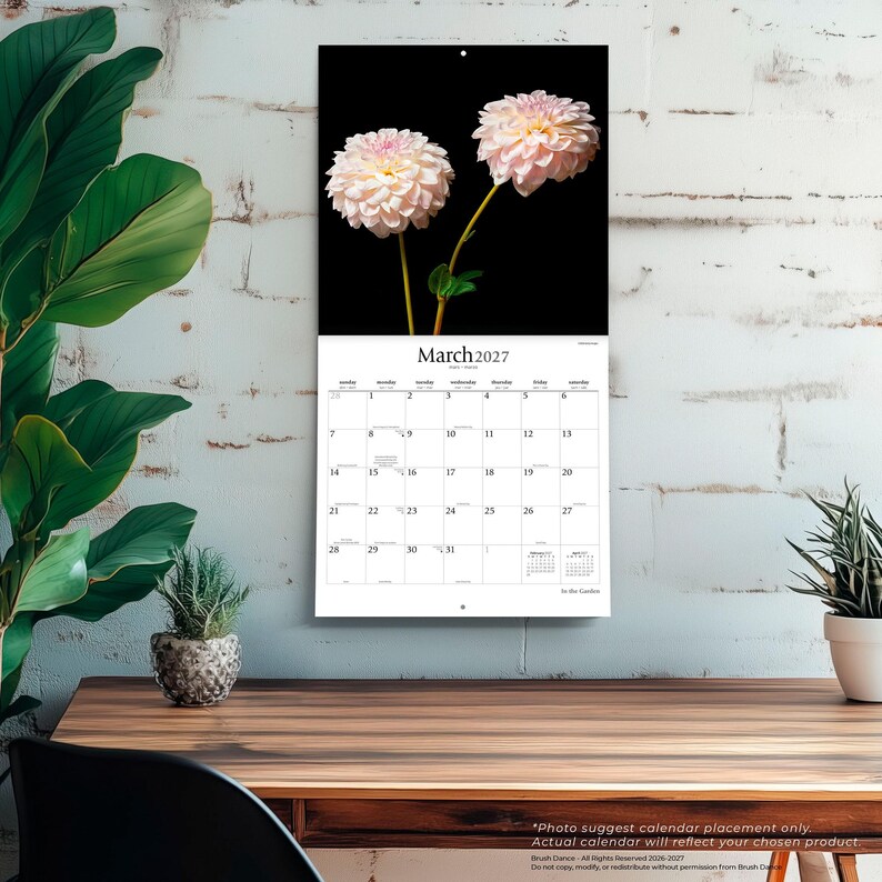 May include: A wall calendar for March 2027 featuring a photograph of two pale pink dahlia flowers against a solid black background. The calendar grid displays the days of the month clearly with the text March 2027 printed at the top of the page.
