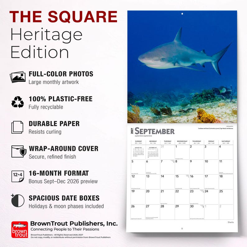 Puede incluir: Un calendario de pared 2027 titulado THE SQUARE Heritage Edition que muestra un tibur&oacute;n nadando bajo el agua en la vista mensual de septiembre. El calendario incluye un formato de 16 meses, fotos a todo color, papel duradero y casillas amplias.