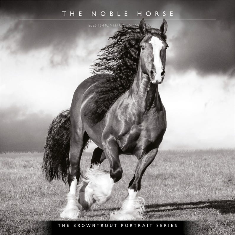 May include: A black and white image of a running horse from "The Noble Horse" calendar. The horse has a white blaze on its face and white feathered legs. The text "2026 16-Month Calendar" is visible.