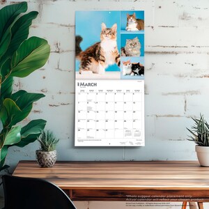May include: A wall calendar for March 2027 featuring various cat photographs on the top half. The calendar grid displays dates from the 1st to the 31st, with small cat silhouettes at the bottom. The page is white with black text and imagery.