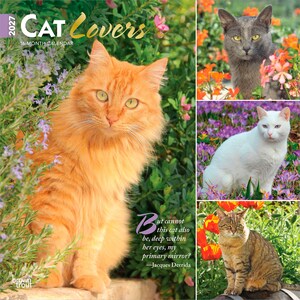 May include: A 2027 Cat Lovers 16-month calendar featuring a large orange cat in the foreground and three smaller inset photos of a grey cat, a white cat, and a brown tabby cat, all surrounded by colorful flowers and green foliage.