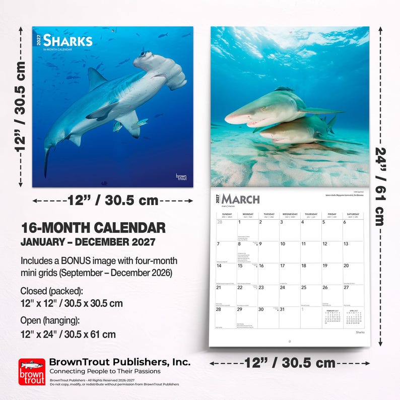 Puede incluir: Un calendario de pared de 16 meses para 2027 con fotograf&iacute;as de tiburones. Las dimensiones cerrado son 30,5 cm por 30,5 cm y abierto 30,5 cm por 61 cm. El calendario incluye una cuadr&iacute;cula para marzo de 2027 y una mini cuadr&iacute;cula adicional.