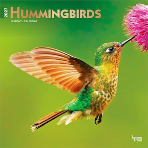 K&ouml;nnte beinhalten: Ein 16-Monats-Kalender 2027 mit dem Titel &bdquo;Hummingbirds&ldquo;. Das Bild zeigt einen Kolibri im Flug mit ausgebreiteten Fl&uuml;geln, die orange und braune Federn zeigen. Der Vogel befindet sich in der N&auml;he einer rosa Blume vor gr&uuml;nem Hintergrund.