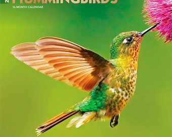 Hummingbirds | 2027 12 x 24 Inch (Hanging) Monthly Square Wall Calendar | Foil Stamped Cover | Plastic-Free | BrownTrout | Animals Wildlife