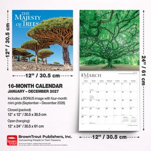 May include: A 16-month wall calendar for 2027 titled The Majesty of Trees, featuring dragon blood trees on the cover and a green tree canopy for March. It measures 30.5 cm by 30.5 cm closed and 30.5 cm by 61 cm when open and hanging.