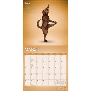 Puede incluir: Un perro marr&oacute;n en una postura de yoga aparece en una p&aacute;gina del calendario de marzo de 2027. El calendario tiene un fondo marr&oacute;n claro con el texto "YOGA DOGS" en la parte inferior. El perro est&aacute; en equilibrio sobre una pata.