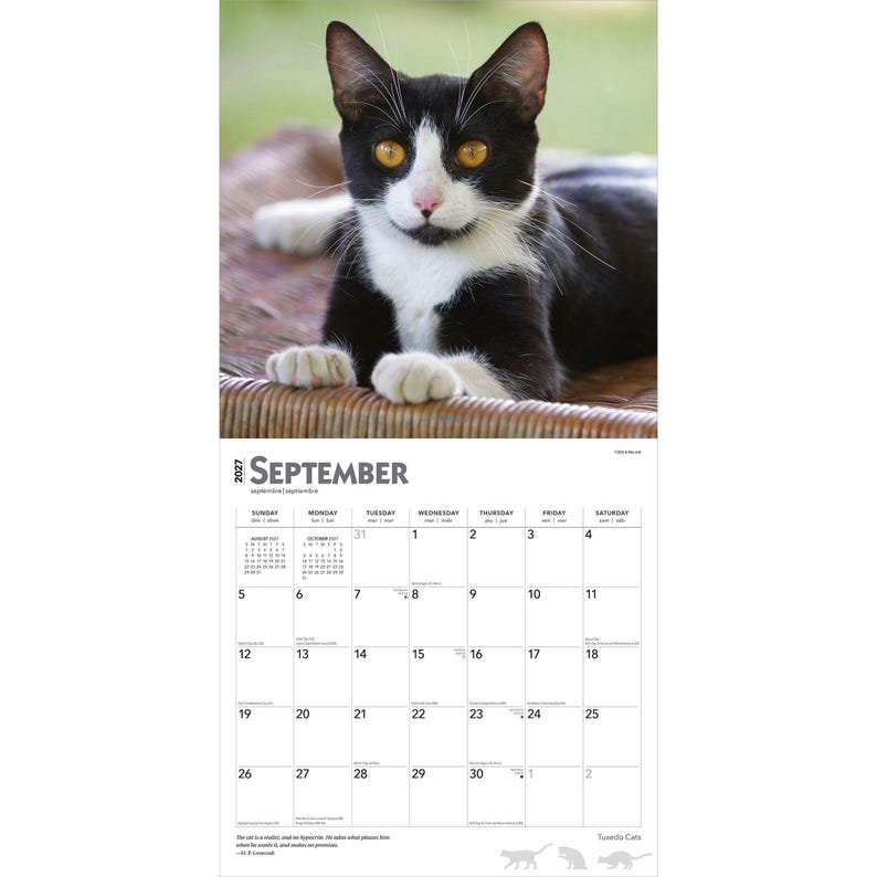 May include: A 2027 wall calendar featuring a black and white cat with yellow eyes on the top page. The bottom page displays the month of September with a grid of dates from 1 to 30, including the text 2027 SEPTEMBER and small cat silhouettes.