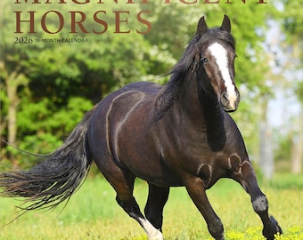 Magnificent Horses | 2026 12 x 24 Inch (Hanging) Monthly Square Wall Calendar | Foil Stamped Cover | Plato | Animals Horses Equestrian