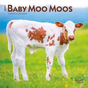 May include: A 2027 16-month calendar titled Baby Moo Moos featuring a white and brown calf standing in a green field. The text 2027 Baby Moo Moos 16-Month Calendar is printed at the top, and the Brown Trout logo is in the bottom right corner.
