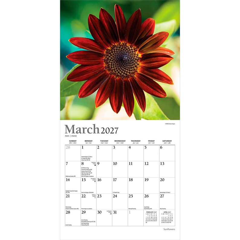 Puede incluir: Un calendario de pared para marzo de 2027 que presenta un gran girasol de color rojo intenso con un centro oscuro en la parte superior. La cuadr&iacute;cula inferior muestra los d&iacute;as del mes con texto negro sobre fondo blanco, incluyendo calendarios peque&ntilde;os.