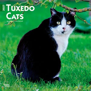May include: A 2027 16-month calendar titled Tuxedo Cats featuring a black and white cat sitting in green grass. The cover displays the text 2027 TUXEDO CATS 16-MONTH CALENDAR and the brand name brown trout in the lower left corner of the image.