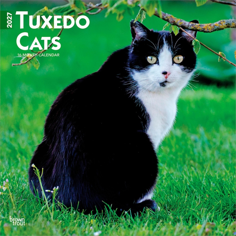 May include: A 2027 16-month calendar titled Tuxedo Cats featuring a black and white cat sitting in green grass. The cover displays the text 2027 TUXEDO CATS 16-MONTH CALENDAR and the brand name brown trout in the lower left corner of the image.