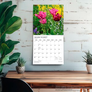 Puede incluir: Un calendario de pared para marzo de 2027 con una fotograf&iacute;a de tulipanes de color rosa vibrante y rojo oscuro en un jard&iacute;n. La cuadr&iacute;cula del calendario muestra el mes, los d&iacute;as de la semana y las fechas en texto negro sobre fondo blanco, con peque&ntilde;os calendarios para febrero y abril de 2027.