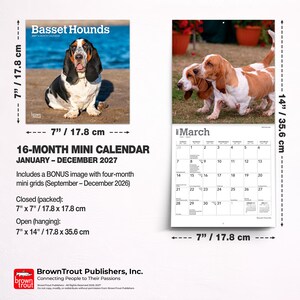 Puede incluir: Un minicalendario de 16 meses de Basset Hounds para 2027, que mide 17,8 cm por 17,8 cm cerrado y 17,8 cm por 35,6 cm abierto. La portada muestra un Basset, mientras que la vista abierta muestra una cuadr&iacute;cula de marzo de 2027 con dos Bassets.