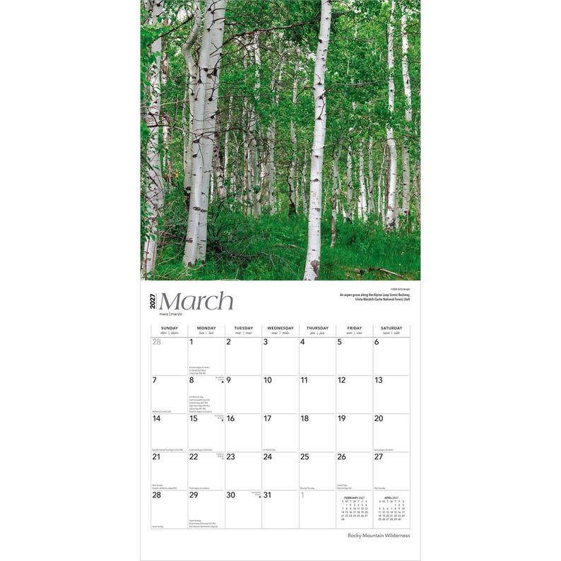May include: A 2027 wall calendar page for March featuring a photograph of a dense forest with white-barked aspen trees and green foliage. The grid displays dates from the 1st to the 31st, with small February and April 2027 calendars at the bottom.
