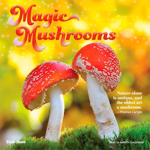 Pode incluir: Um calend&aacute;rio de 16 meses para 2027 intitulado Magic Mushrooms, apresentando dois cogumelos Amanita muscaria vermelhos e brancos sobre musgo verde. O texto diz Magic Mushrooms, uma cita&ccedil;&atilde;o de Thomas Carlyle, Brush Dance e 2027 16-month calendar.