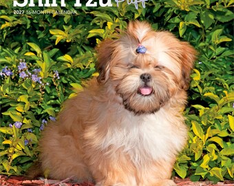 Shih Tzu Puppies | 2027 7 x 14 Inch (Hanging) Monthly Mini Wall Calendar | BrownTrout | Animal Small Dog Breed Puppy