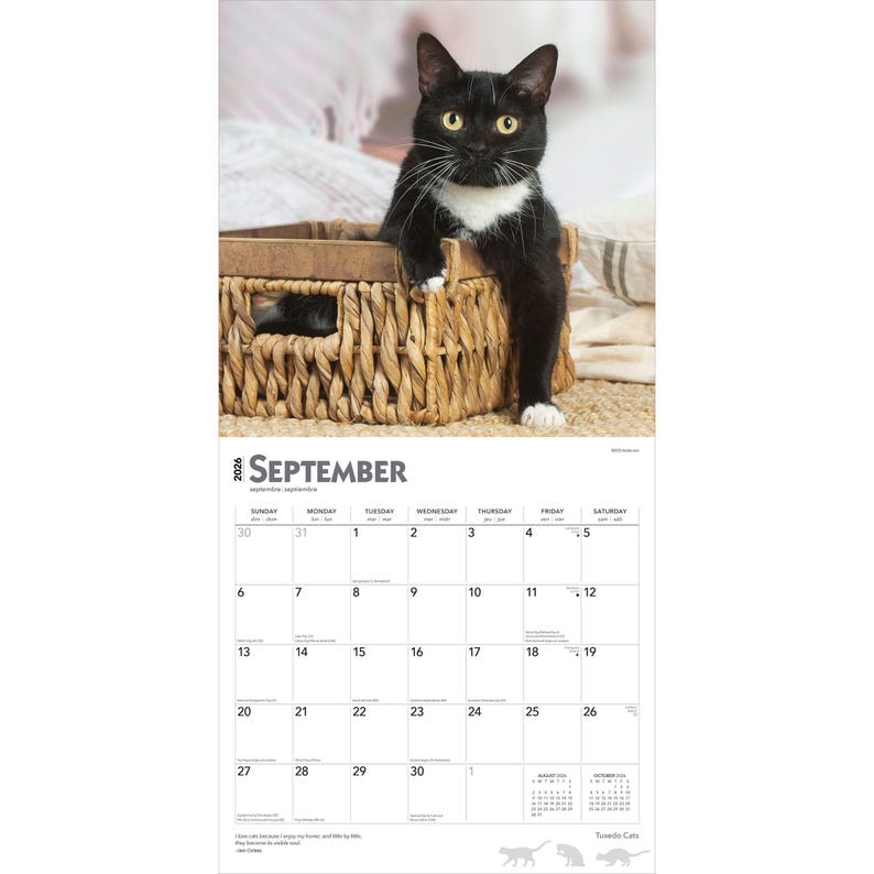 K&ouml;nnte beinhalten: Ein Kalender f&uuml;r 2026 mit einer schwarz-wei&szlig;en Katze in einem Weidenkorb. Die Katze hat gelbe Augen und schaut den Betrachter an. Der Monat September ist oben auf dem Kalender abgebildet.