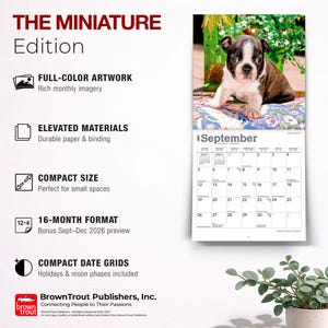 Puede incluir: Un calendario de pared de 2027 titulado The Miniature Edition que muestra un cachorro de Boston Terrier en la p&aacute;gina de septiembre. El calendario incluye un formato de 16 meses, cuadr&iacute;culas de fechas compactas con festivos y fases lunares.