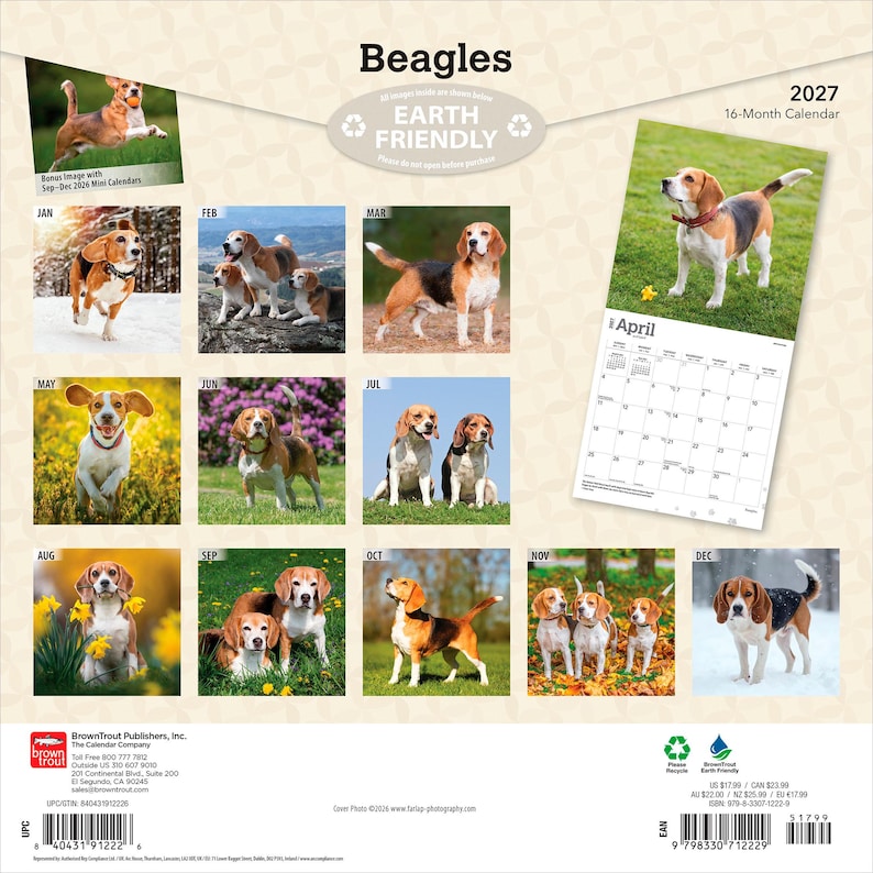 May include: A 2027 16-month wall calendar titled Beagles featuring various photographs of beagle dogs in outdoor settings throughout the year. The calendar includes a preview of the April page and text indicating it is an Earth Friendly product.