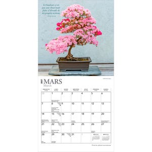 Peut inclure: Un calendrier mural 2027 pour le mois de mars pr&eacute;sentant un bonsa&iuml; azal&eacute;e aux fleurs roses dans un pot rectangulaire marron. La partie sup&eacute;rieure affiche l'arbre et une citation du Dala&iuml;-Lama, tandis que la partie inf&eacute;rieure montre la grille.