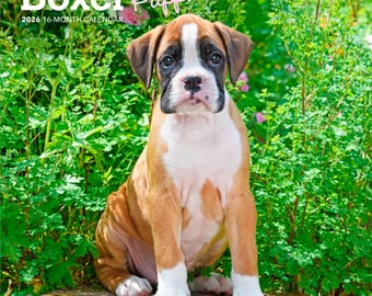 Boxer Puppies | 2026 7 x 14 Inch (Hanging) Monthly Mini Wall Calendar | BrownTrout | Animals Dog Breeds Puppy